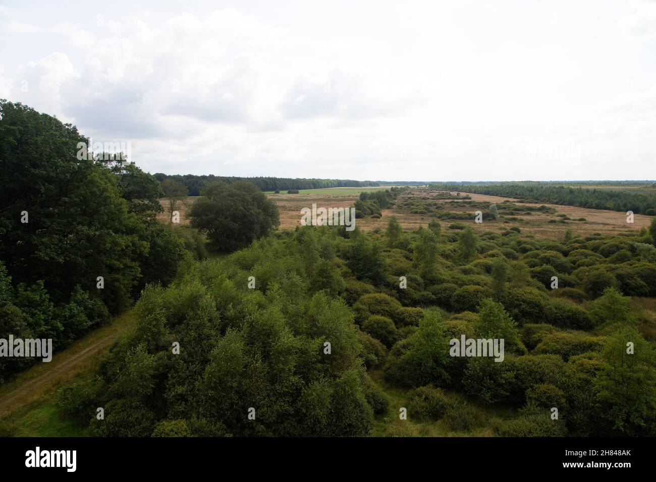 Area with spring of brook Amerdiep, shot from watchtower; Drenthe, Netherlands Stock Photo