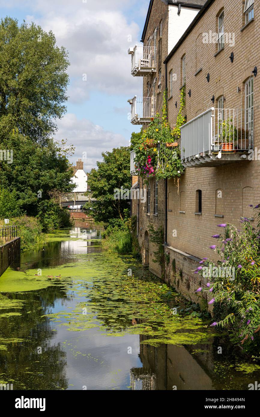 Hen Brook, St Neots, Cambridgeshire. Stock Photo