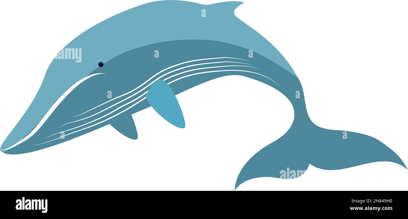 whale under the sea Stock Vector Image & Art - Alamy