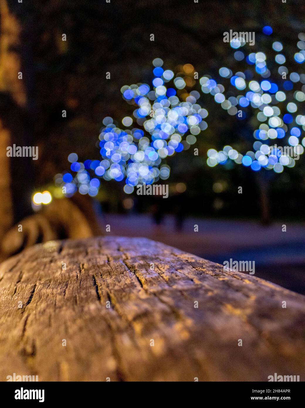 A shallow depth of field shot showing Autumn in London with light bokeh balls in the background. Taken on The South Bank in London Stock Photo