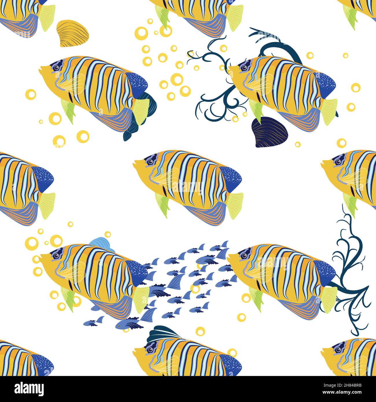 Emperor angelfish, Pomacanthus imperator seamless patterns, sea animal wildlife character. Nature underwater, marine wild ocean zoo fish Stock Vector