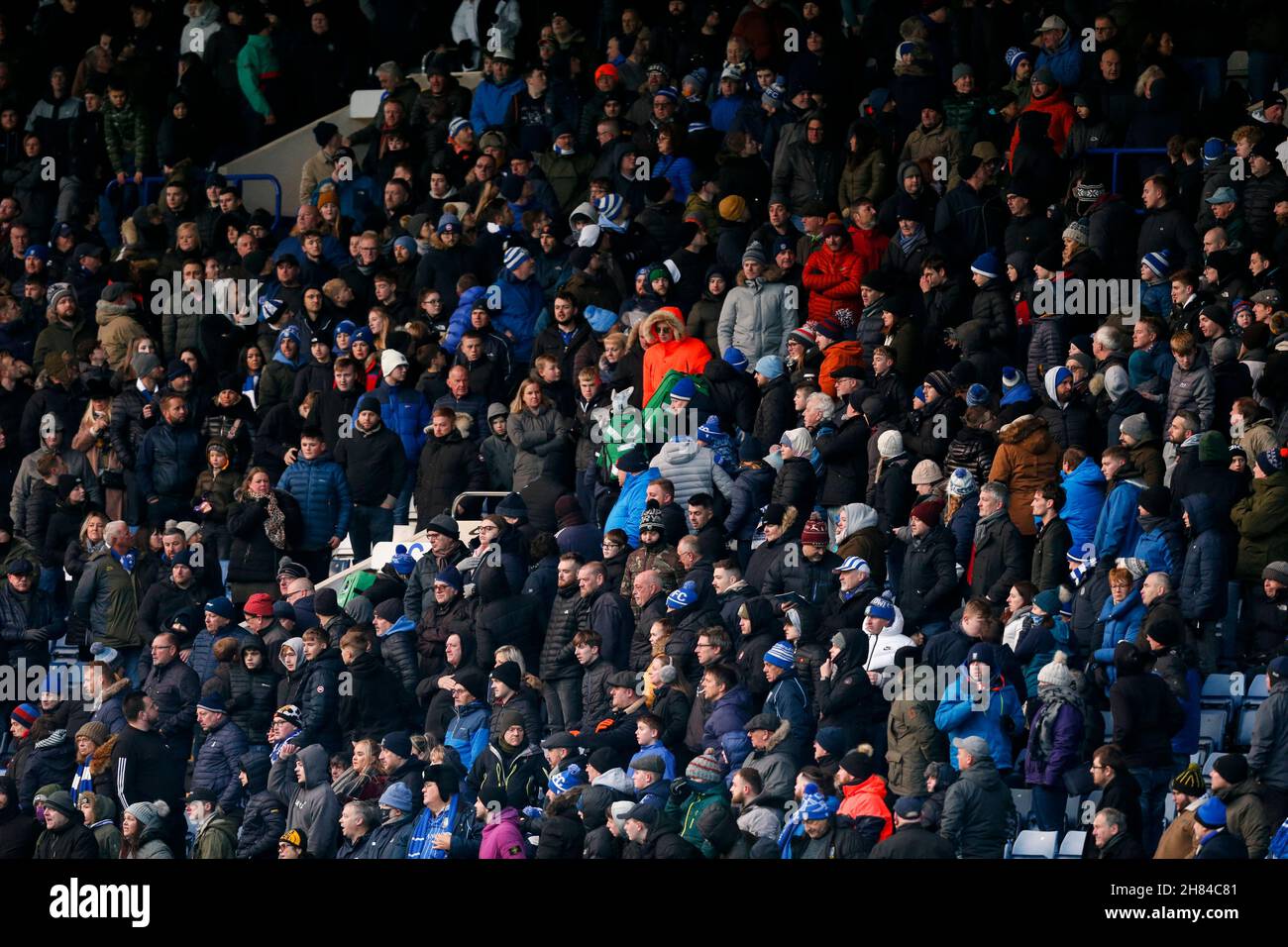 Cardiff City's new crest: What ex-player, diehard fan and our