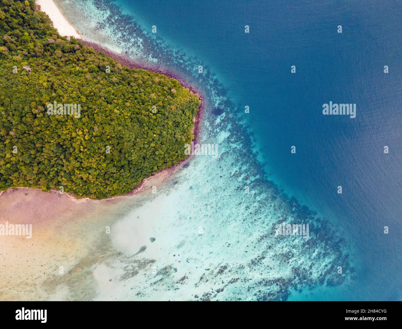 The Beach book by Alex Garland in Maya Bay, Phi Phi island Thailand Stock  Photo - Alamy