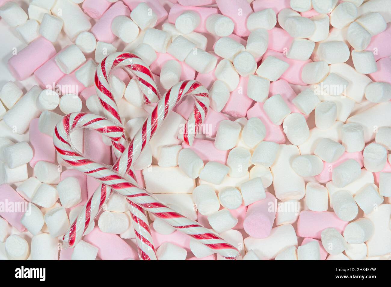 red green candy canes on the pink white marshmallows background Stock