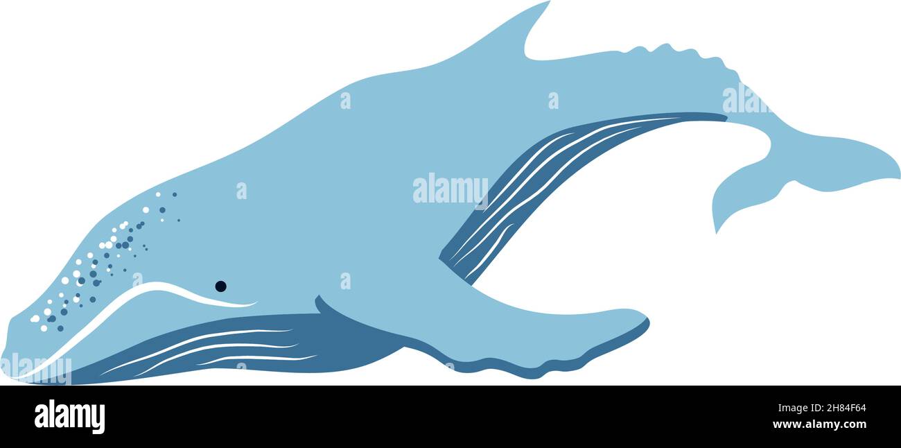 Finwhale Stock Vector Images - Alamy
