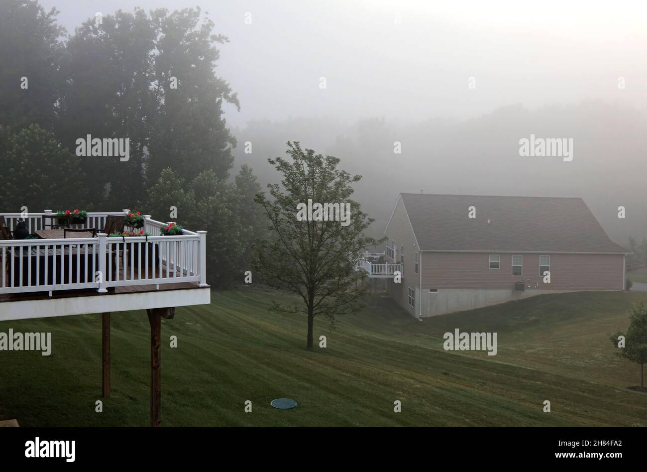 fog; morning; wet, weather, overview, furniture, flowers, white railing