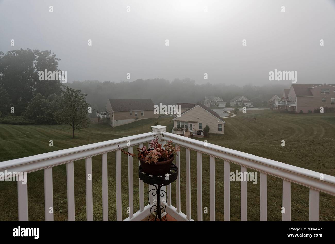 fog; morning; wet, weather, view from deck, plant on black stand, white
