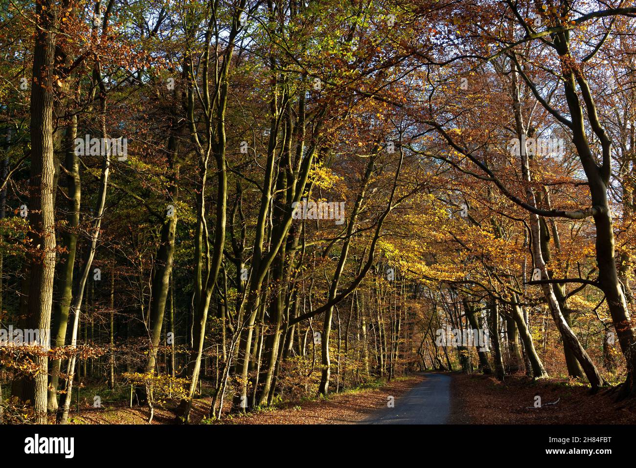 Checkendon hi-res stock photography and images - Alamy