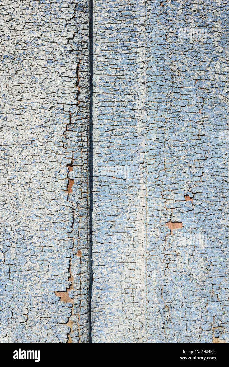 Old faded wood wall with cracked blue paint vertical Stock Photo Alamy