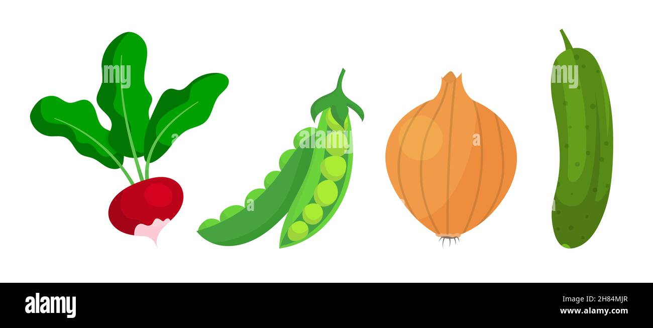 Set of vegetables Stock Vector Image & Art - Alamy