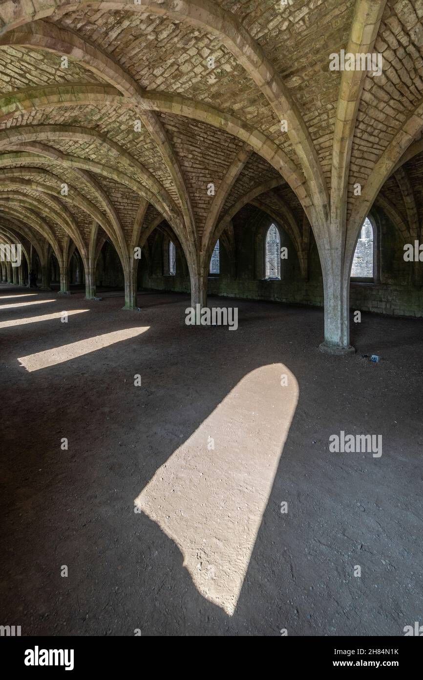 Fountains Abbey, Ripon, North Yorkshire, England - Cistercian abbey mostly dating from 13th to 15th centuries. The cellarium undercroft. Stock Photo