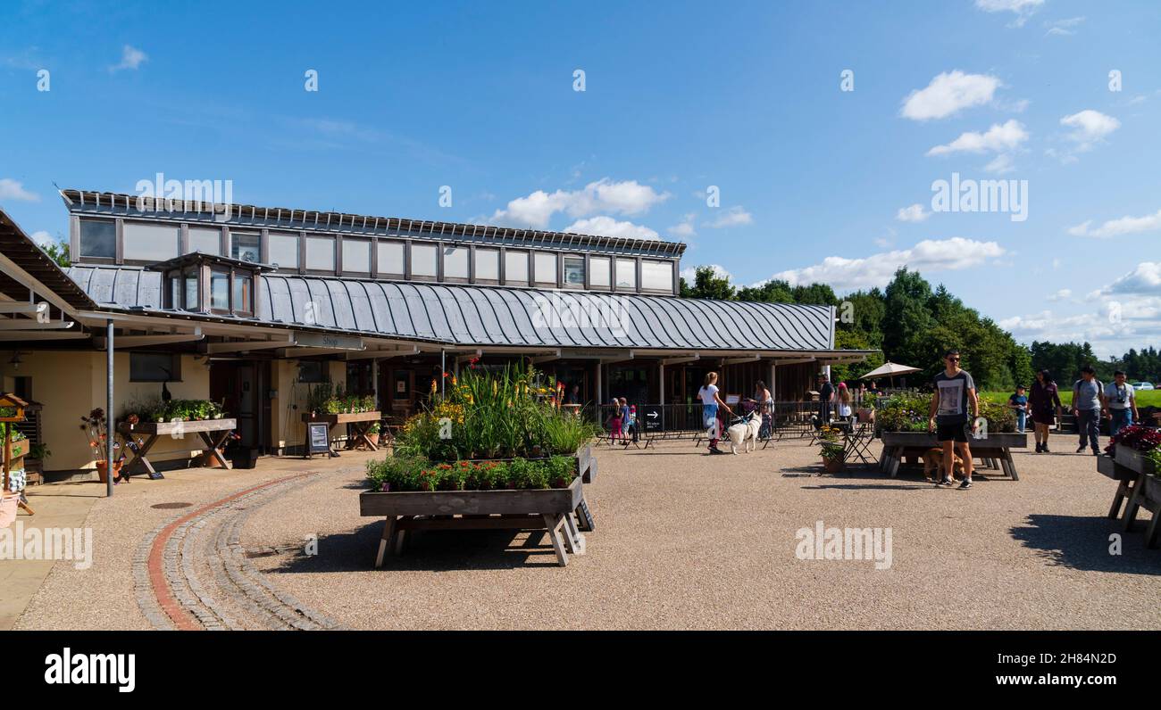 Fountains Abbey, Ripon, North Yorkshire, England - Cistercian abbey mostly dating from 13th to 15th centuries. The visitor centre. Stock Photo
