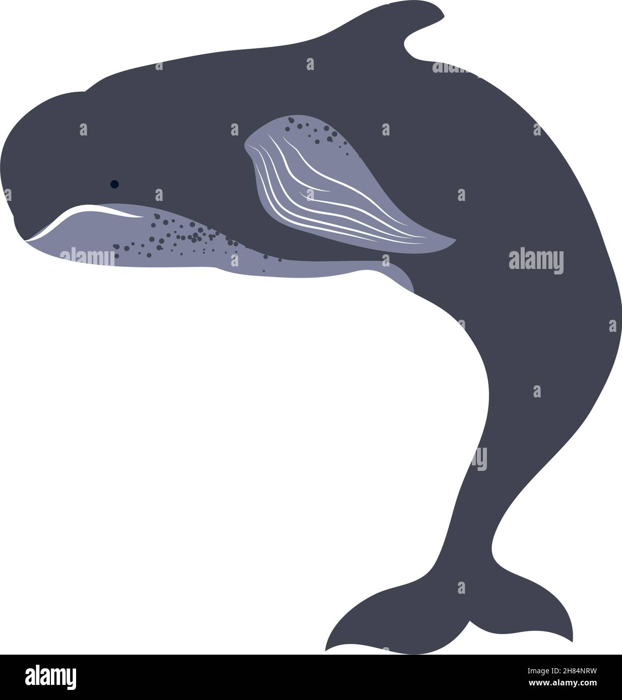 whale life nature Stock Vector Image & Art - Alamy