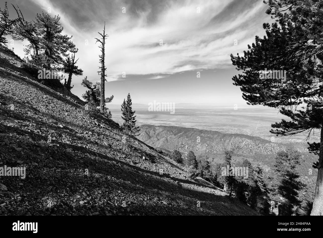 Black and white view of the Mojave desert from the Mt Baden-Powell trail in the San Gabriel Mountains area of Los Angeles County, California. Stock Photo