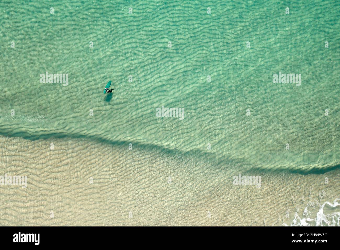 Aerial view of a surfer in the clear waters of tropical looking Pedn Vounder beach, west Cornwall at low tide in winter. Stock Photo