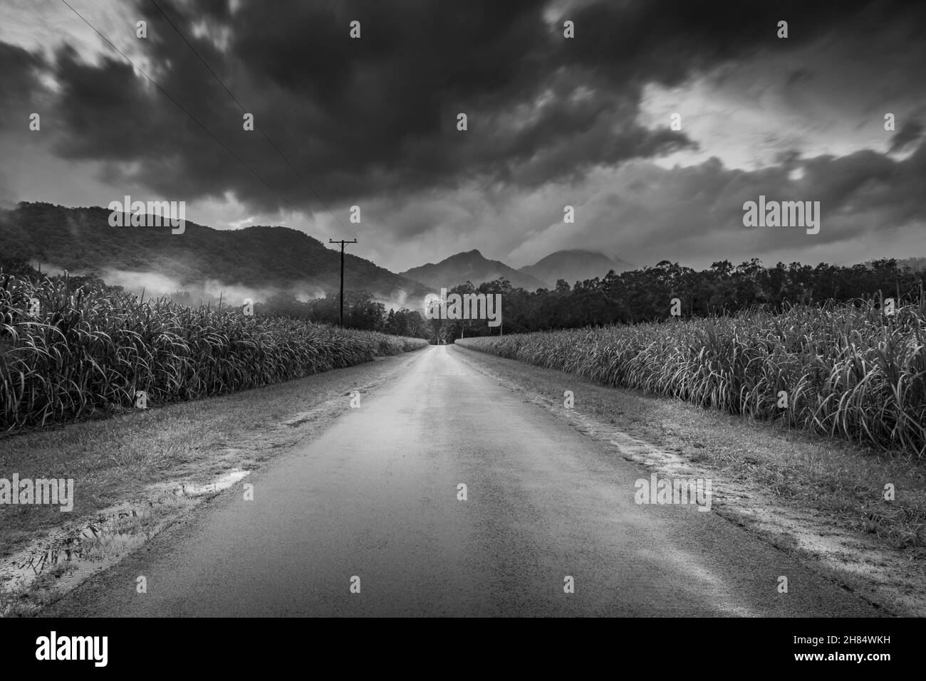 Empty dark road landscape Black and White Stock Photos & Images - Alamy