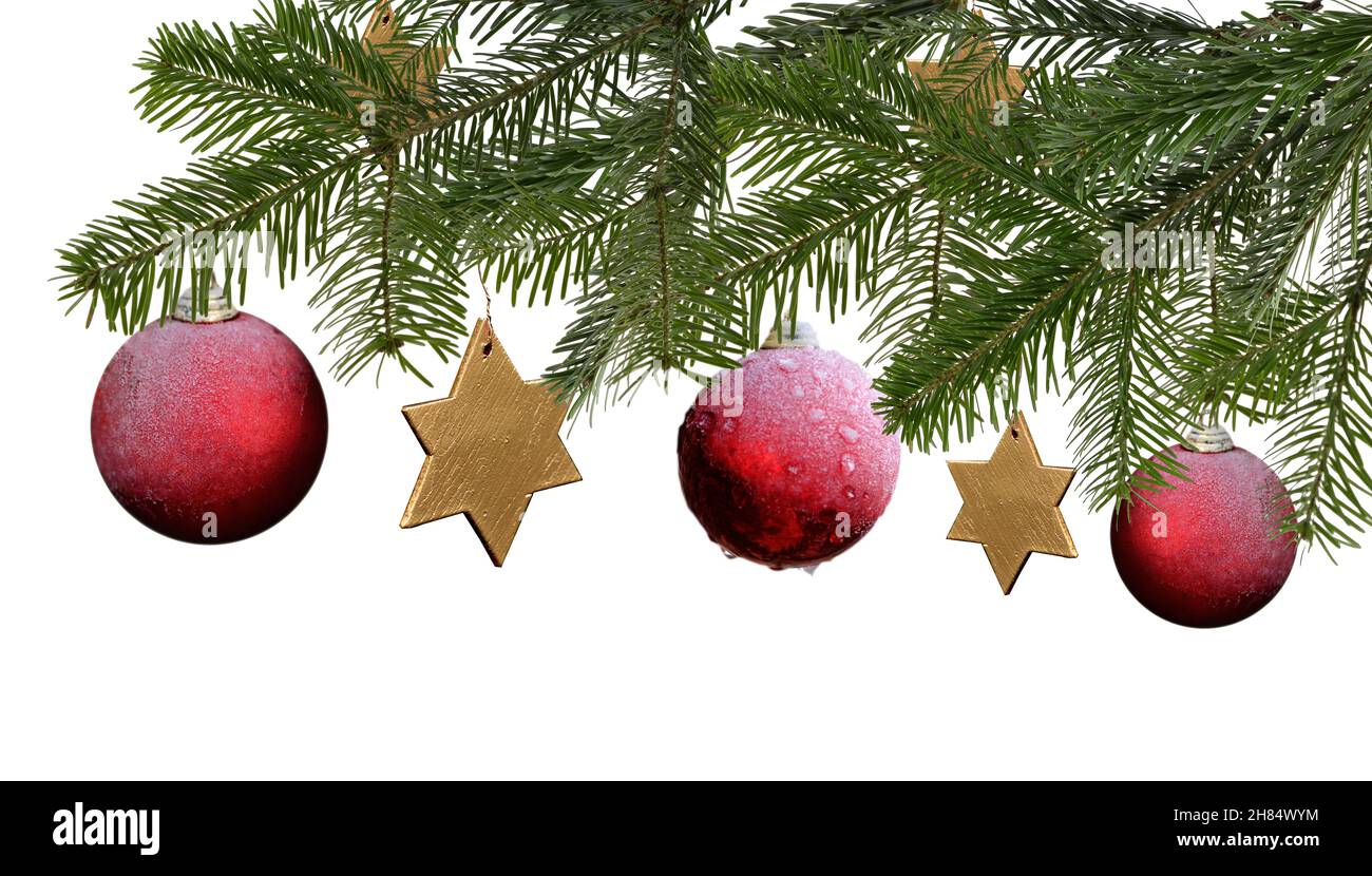 christmas tree branch isolated with red balls and stars Stock Photo