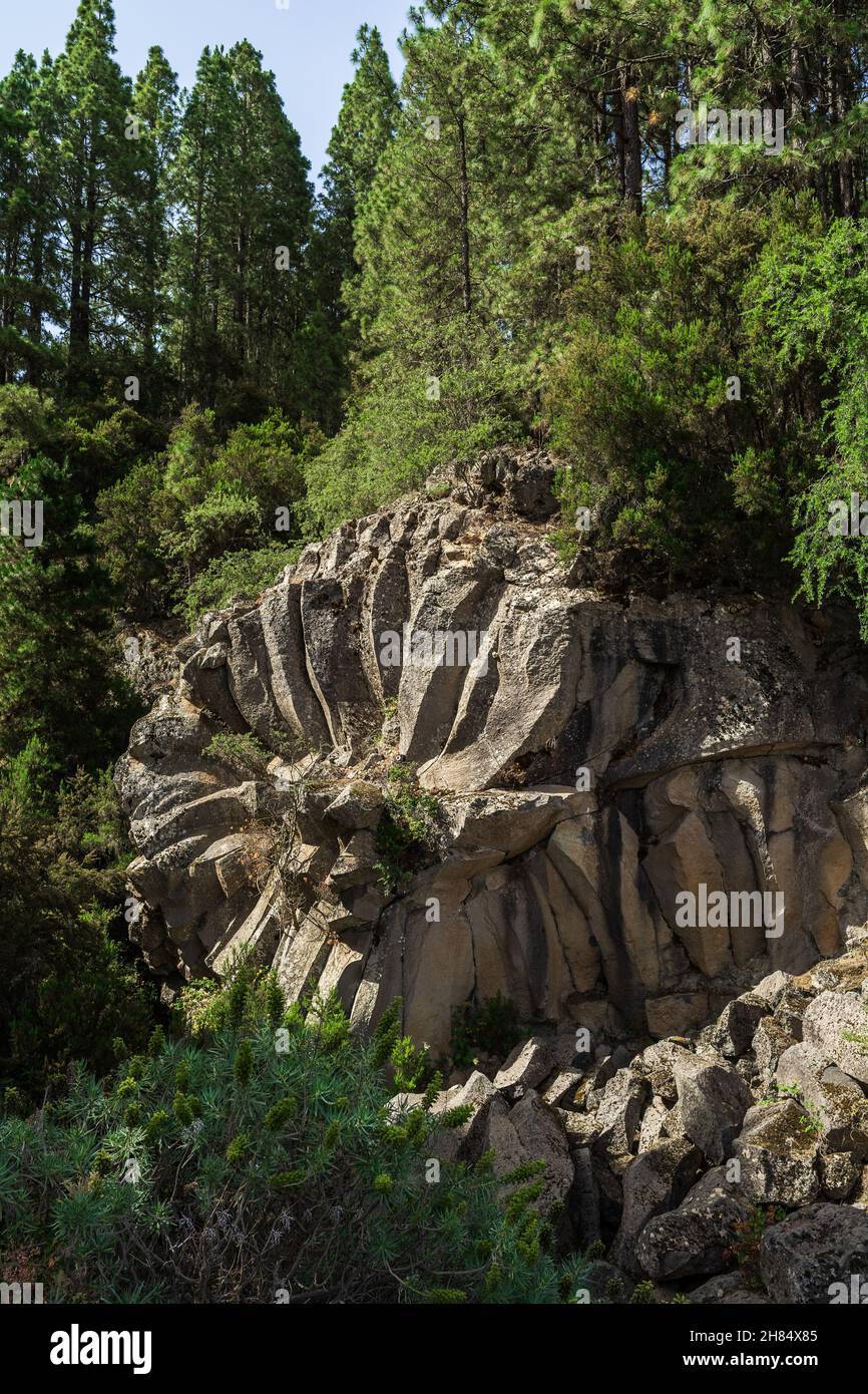 A geological formation, a basalt rock formation in the shape of a rose ...