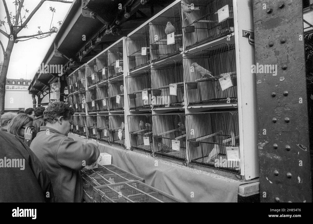 April 1993 archive black & white photograph of the Paris bird market or Marché aux oiseaux. Stock Photo