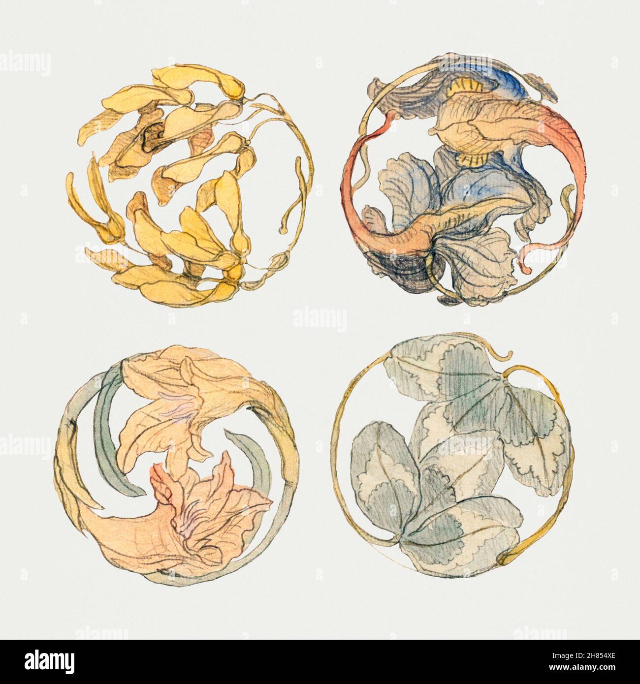 Flower Studies (Four Designs for Circular Ornaments) (18801890) by