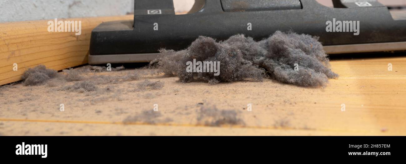 Vacuum cleaner, close up, dust floor Stock Photo