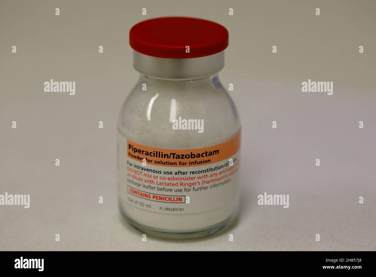 a glass 50 ml vial containing piperacillin and Tazobactam powder Stock Photo