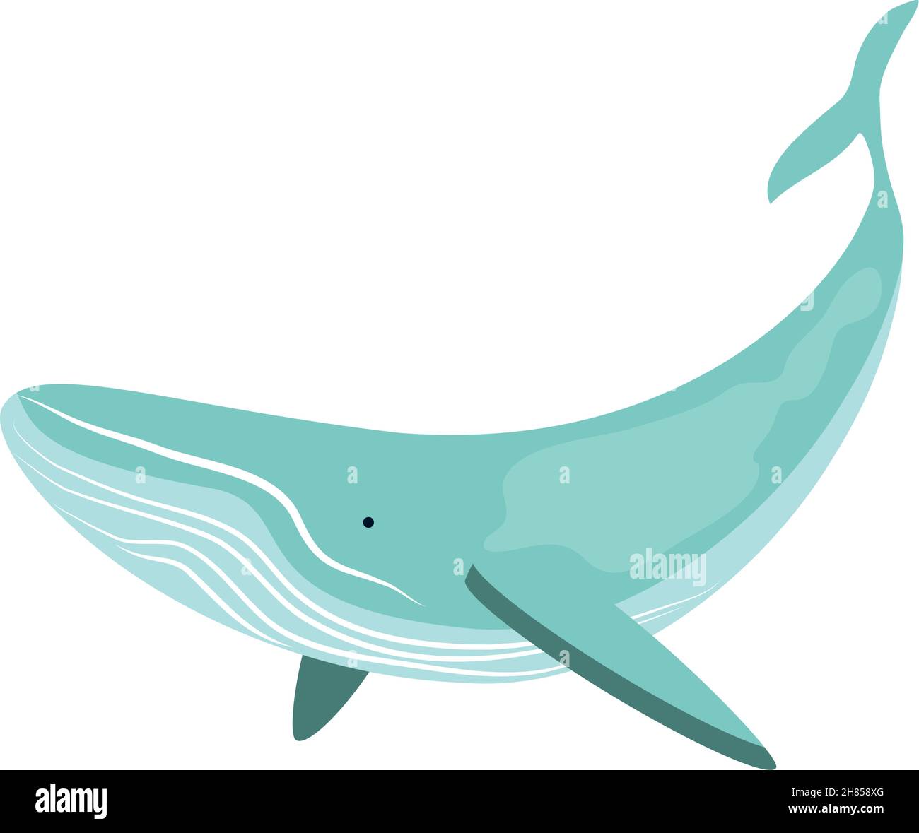 whale undersea life Stock Vector Image & Art - Alamy