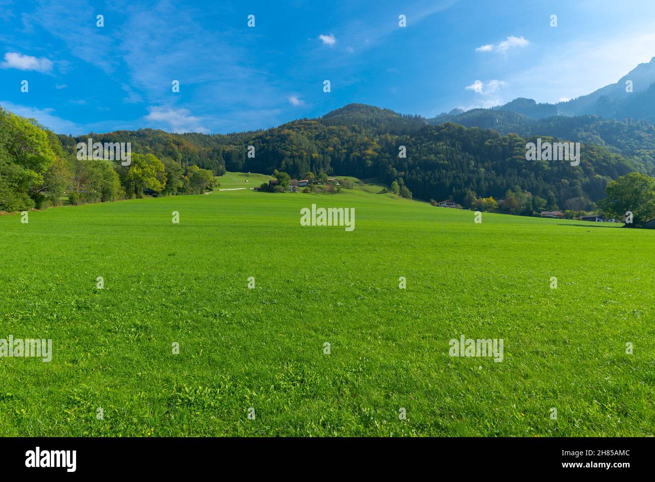 Agricultural landscape with pastures and meadows in the pre-alpine plateau of Chiemgau region, Aschau, Upper Bavaria, Southern Germany Stock Photo