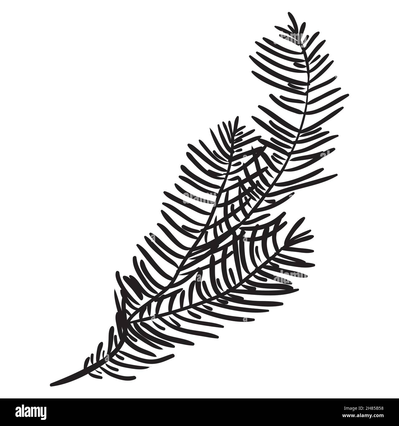 Hand drawn pine branches for creation of your own design for Christmas or New year. Vector, illustration. Stock Vector