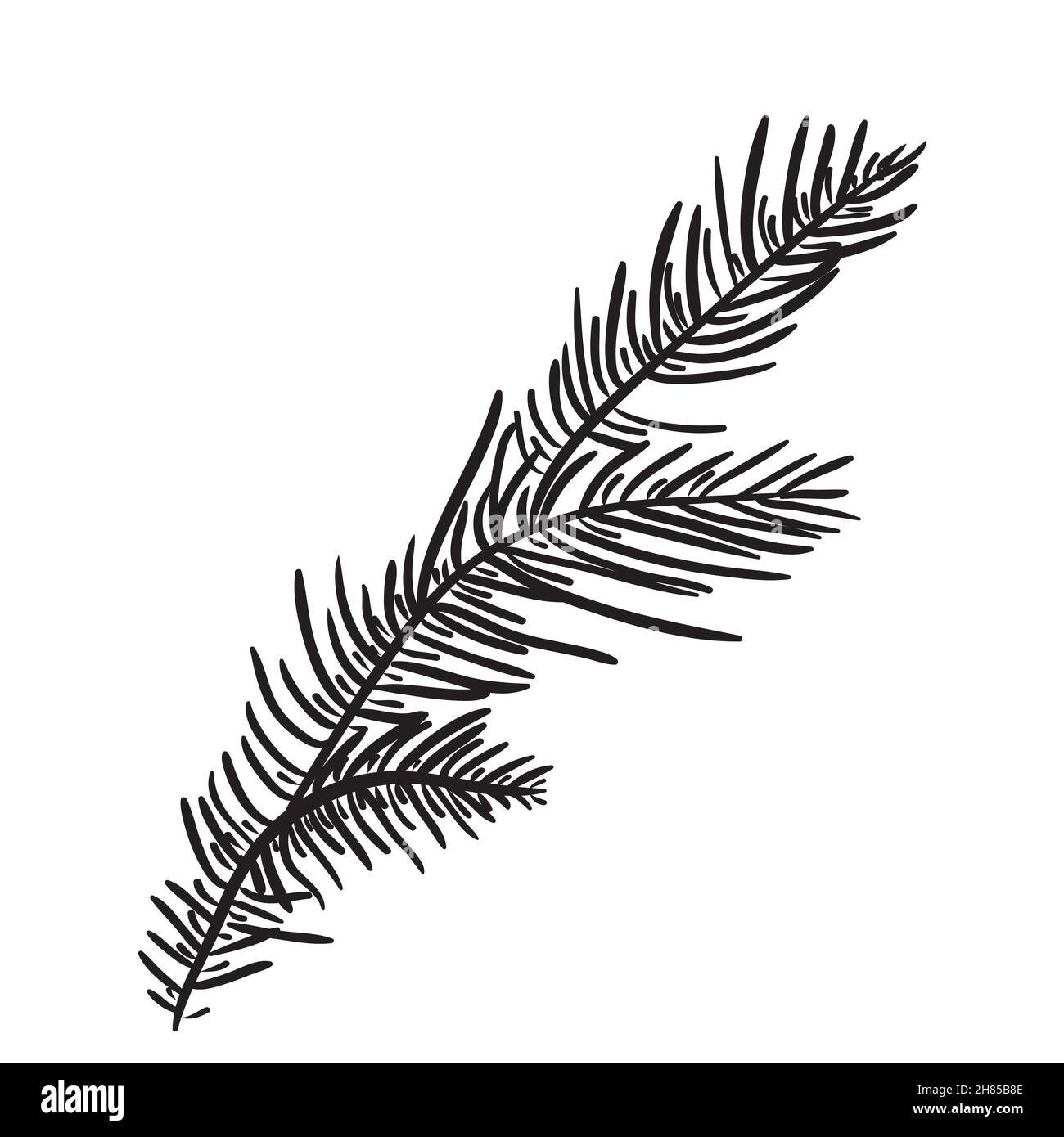 Hand drawn pine branches for creation of your own design for Christmas or New year. Vector, illustration. Stock Vector