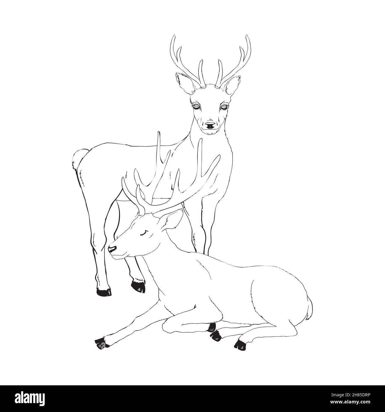 Beautiful noble deer are ruminant mammal in family. Side view. Vector monochrome freehand ink drawn background sketchy in art scribble style pen on pa Stock Vector