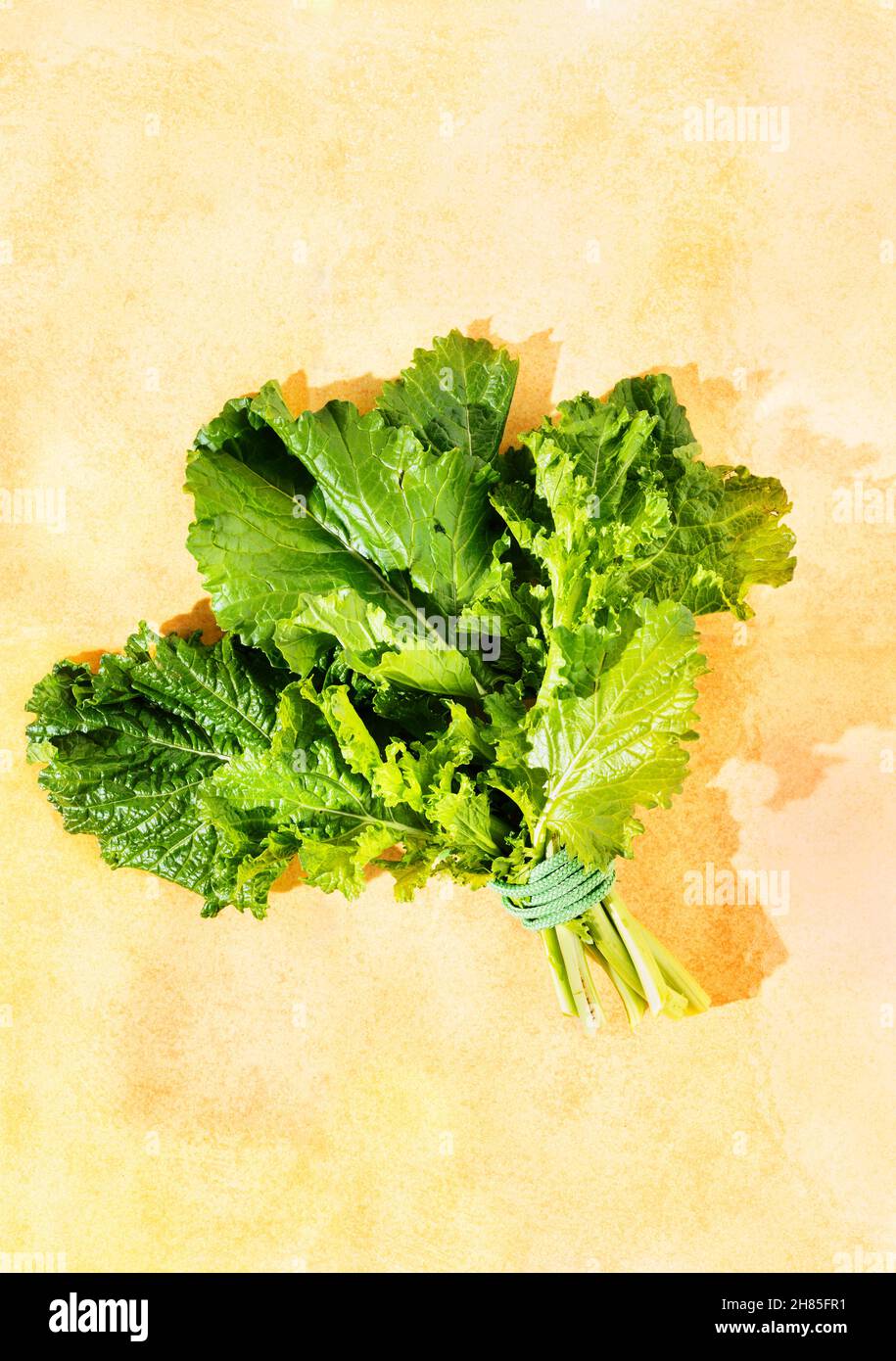 Bunch of turnip greens brassica rapa root vegetable with bitter