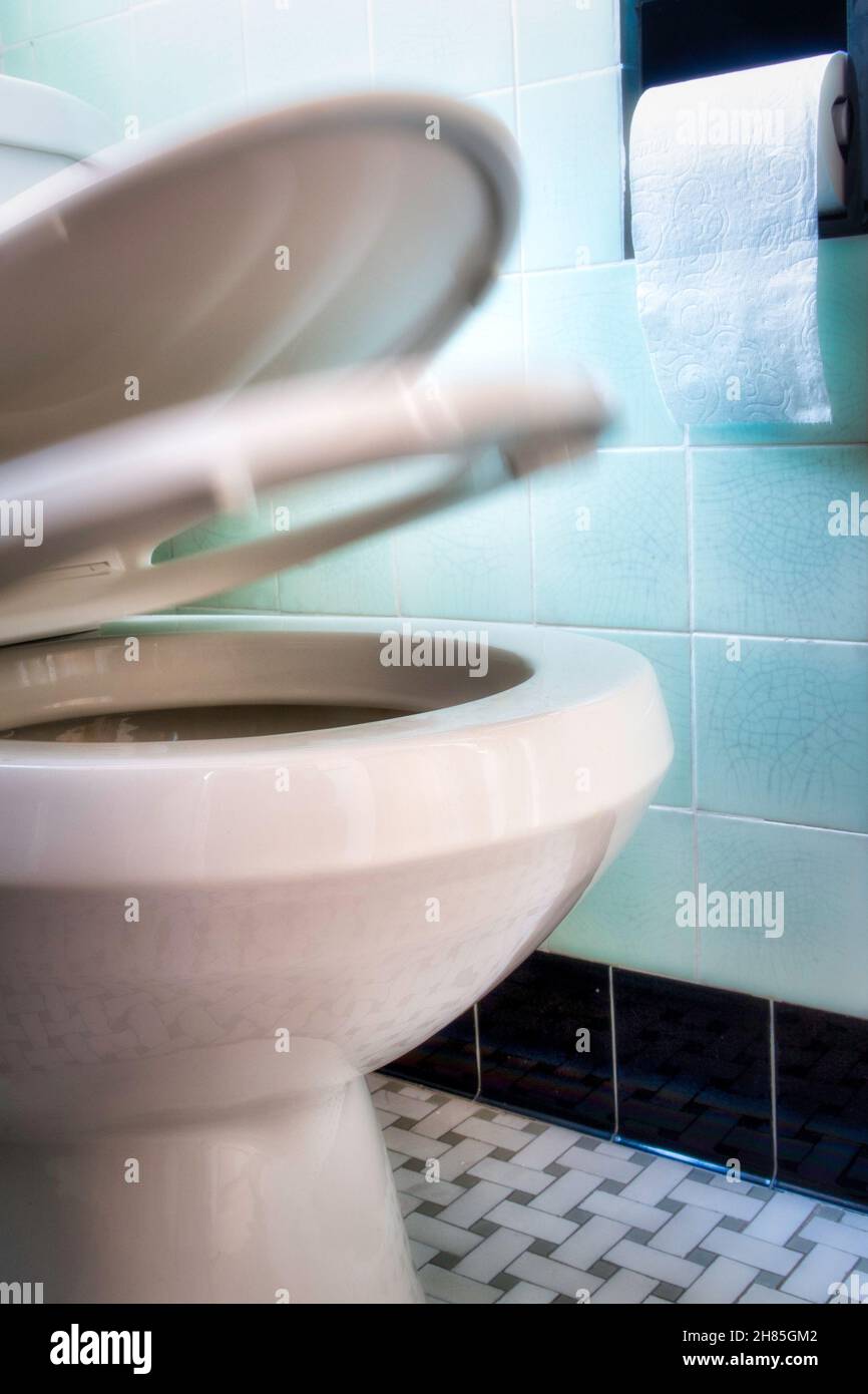 Toilet seat down hires stock photography and images Alamy