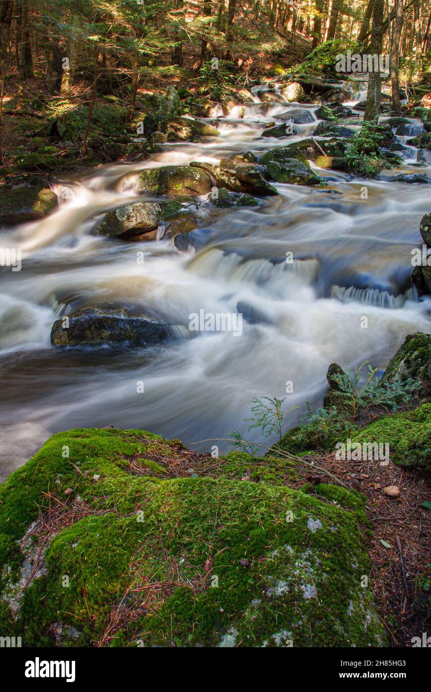 Rutland Brook in Petersham, Massachusetts in late summer Stock Photo