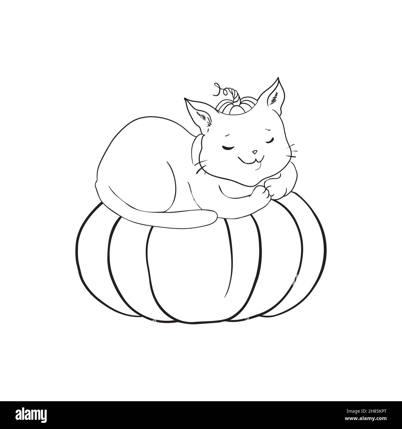 Cat is sitting on the pumpkin isolated on white. Vector illustration ...