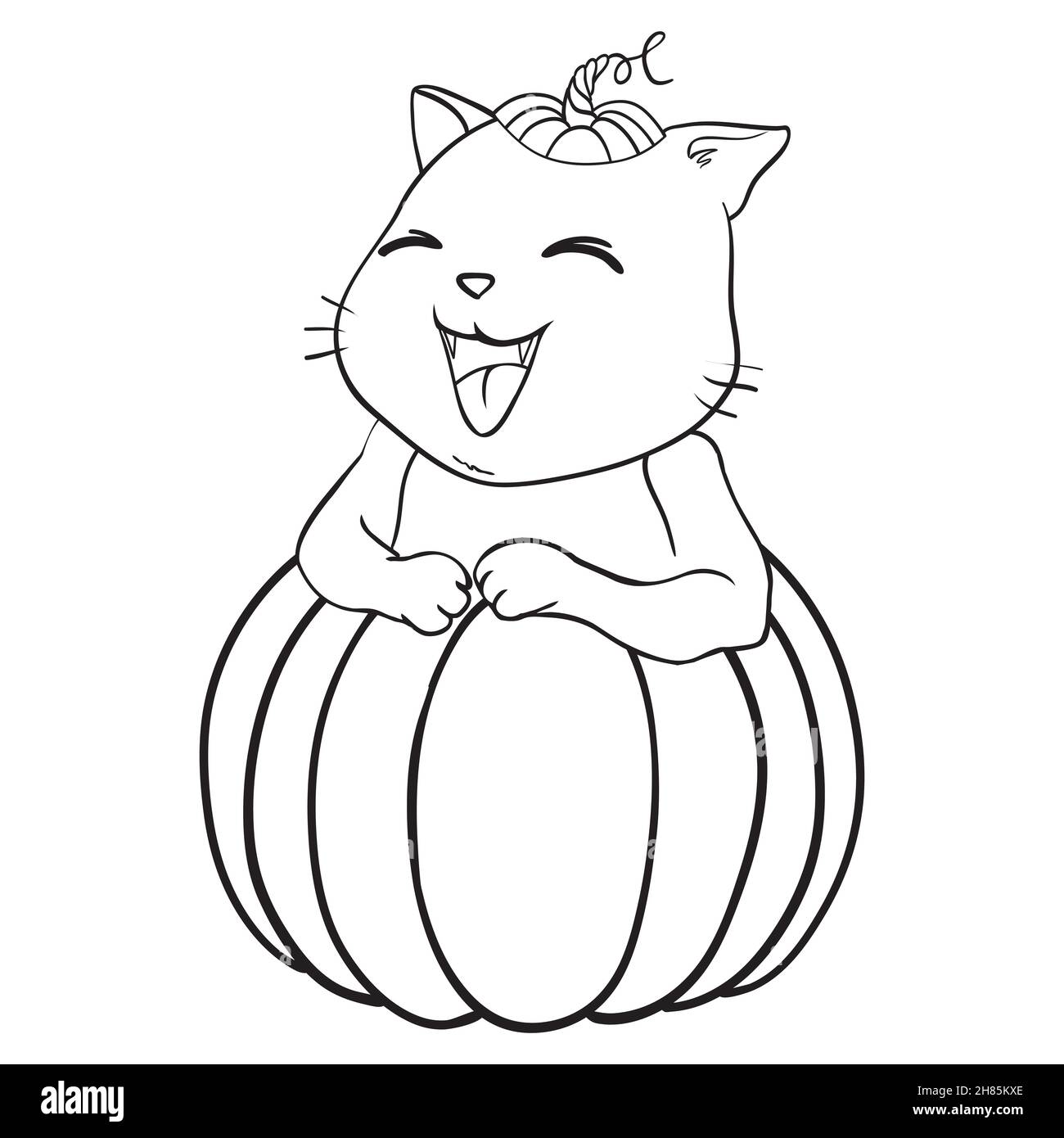 Cat is sitting on the pumpkin isolated on white. Vector illustration ...