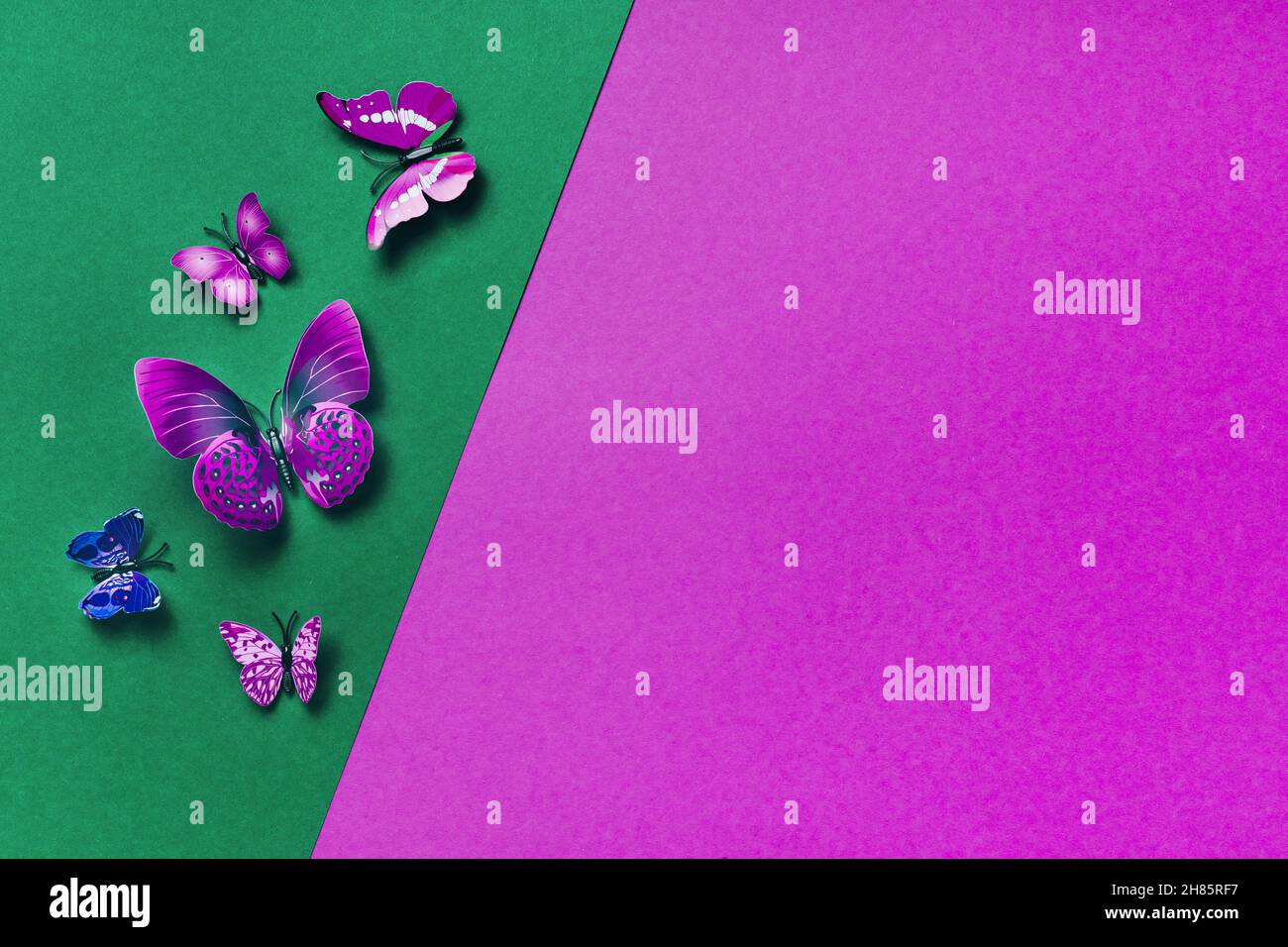 Vivid duotone background with butterflies Stock Photo