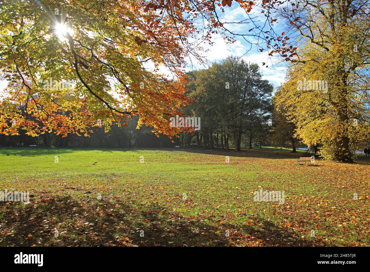 Autumn In Newstead Abbey Park, Nottinghamshire Stock Photo Alamy