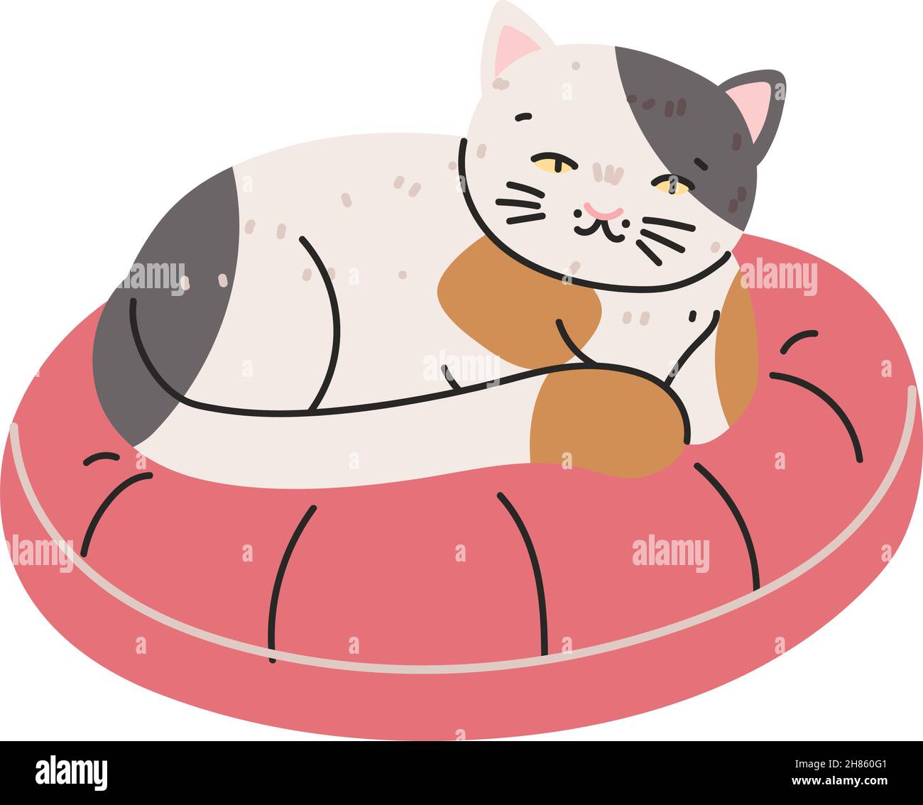cat sleeping on cushion Stock Vector Image & Art Alamy