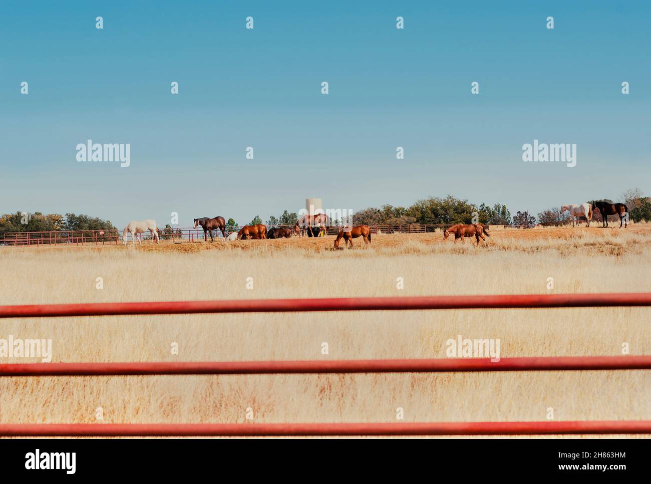6666 ranch hi-res stock photography and images - Alamy