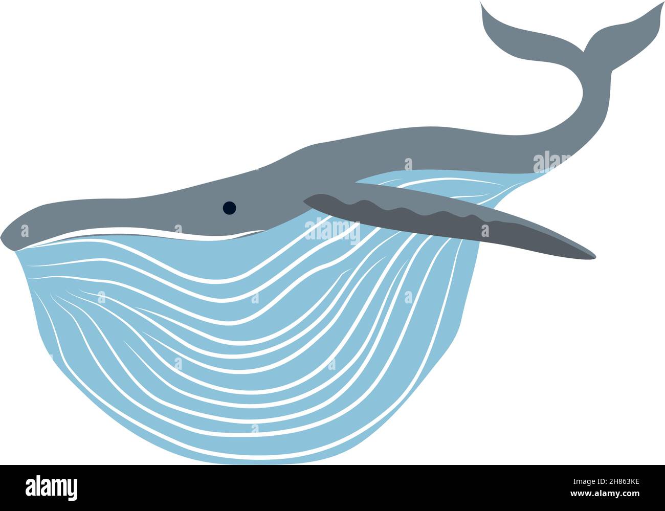 whale aquatic animal Stock Vector Image & Art - Alamy