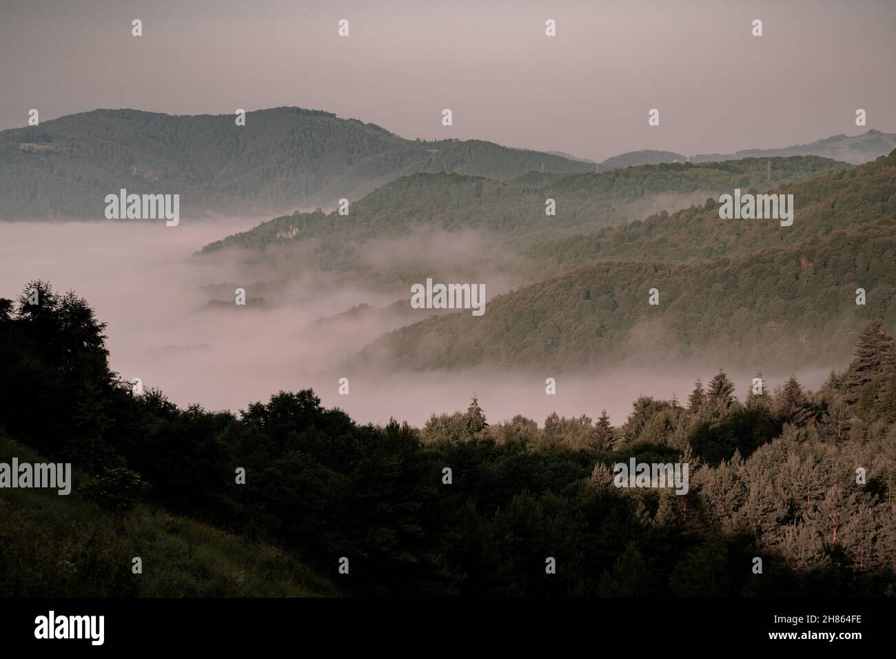 An aerial view of a foggy morning in the forests in Romania Stock Photo ...