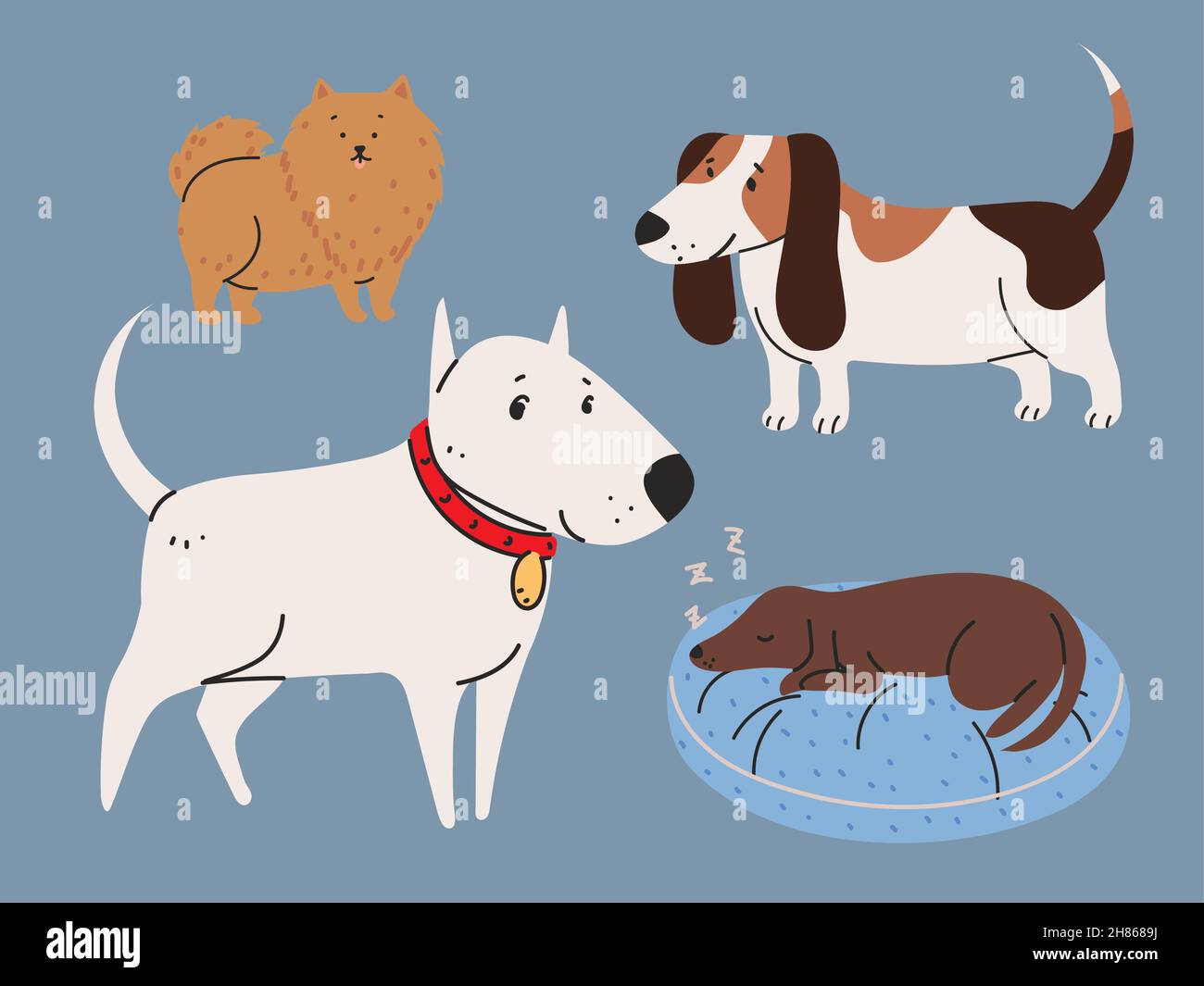 pets animals icons Stock Vector Image & Art - Alamy