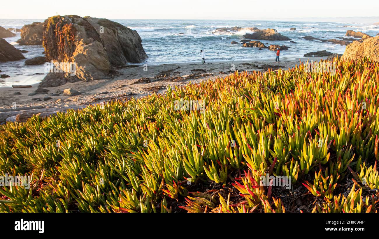 Glass Beach, Fort Bragg, Mendocino County, California, USA Stock Photo
