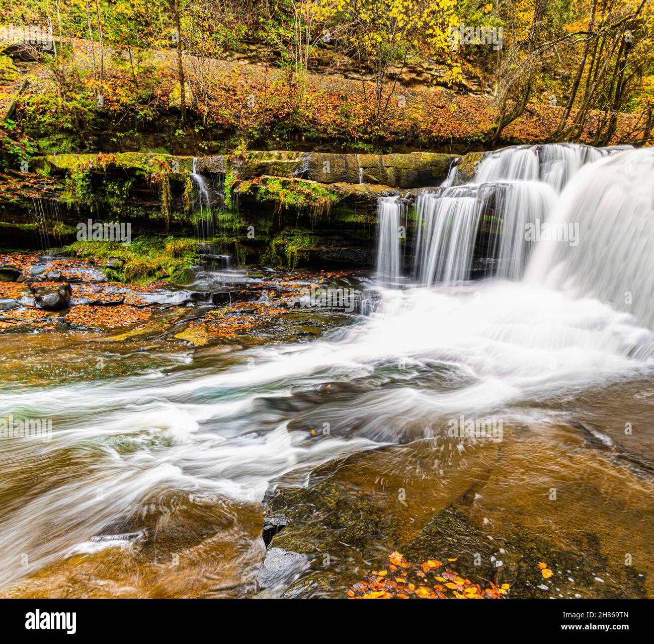 Dunloup creek falls hires stock photography and images Alamy