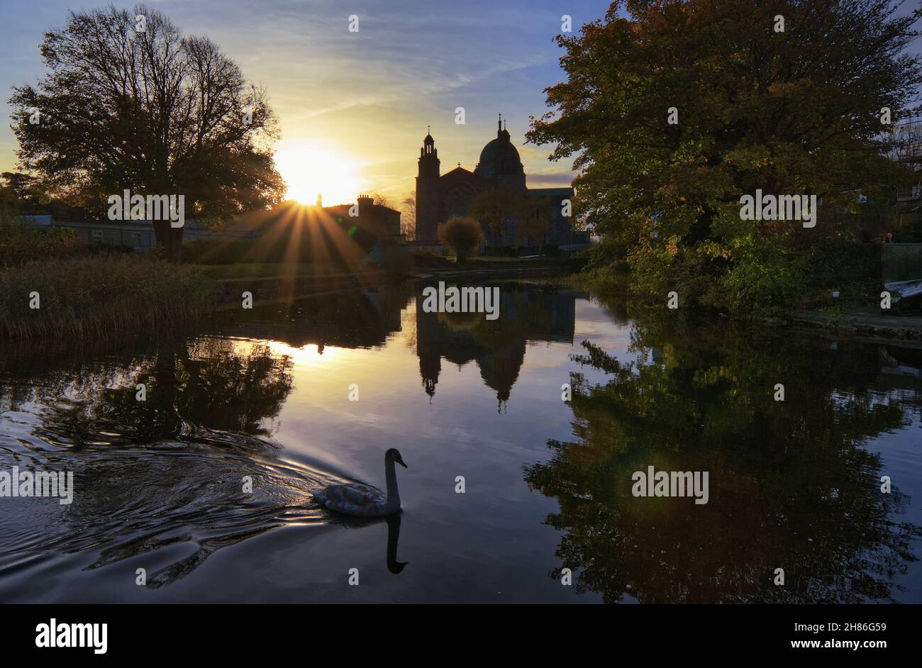 Beautiful morning sunrise scenery of Galway cathedral reflected in Corrib river with swan swimming in front at Galway City in Ireland Stock Photo