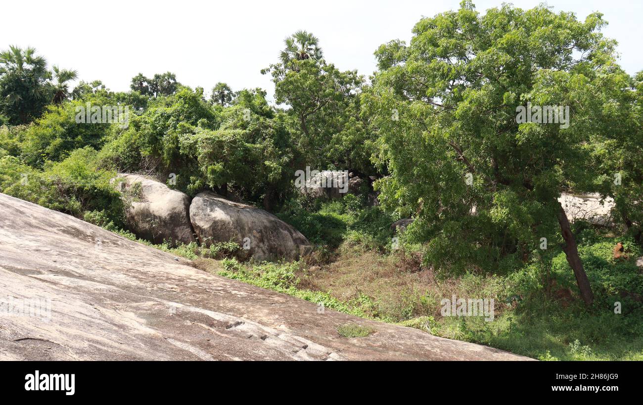 The beautiful cliff slope is beautiful to see the natural trees Stock Photo