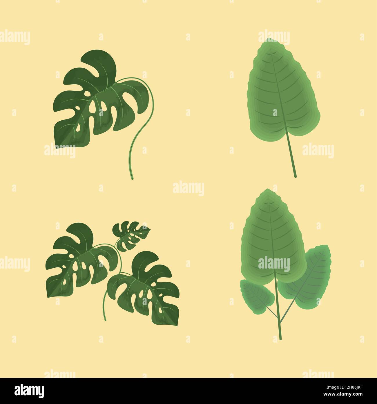 leaves foliage icon set Stock Vector Image & Art - Alamy