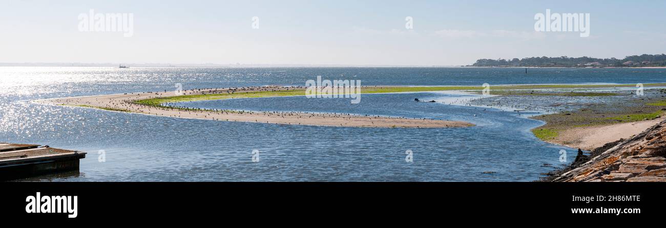 Aveiro Lagoon along the EuroVelo 1 cycling route in Portugal This route  runs along the Atlantic coast from Northern Europe to The south tip of  Portuga Stock Photo - Alamy