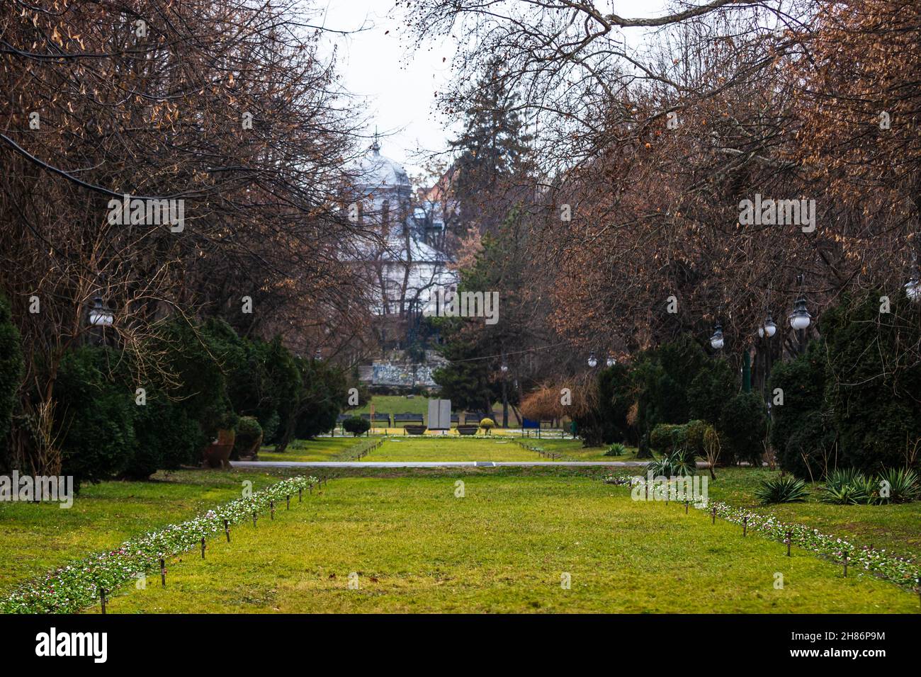 Autumn in a park. Autumn scenery with brown leaves Stock Photo - Alamy
